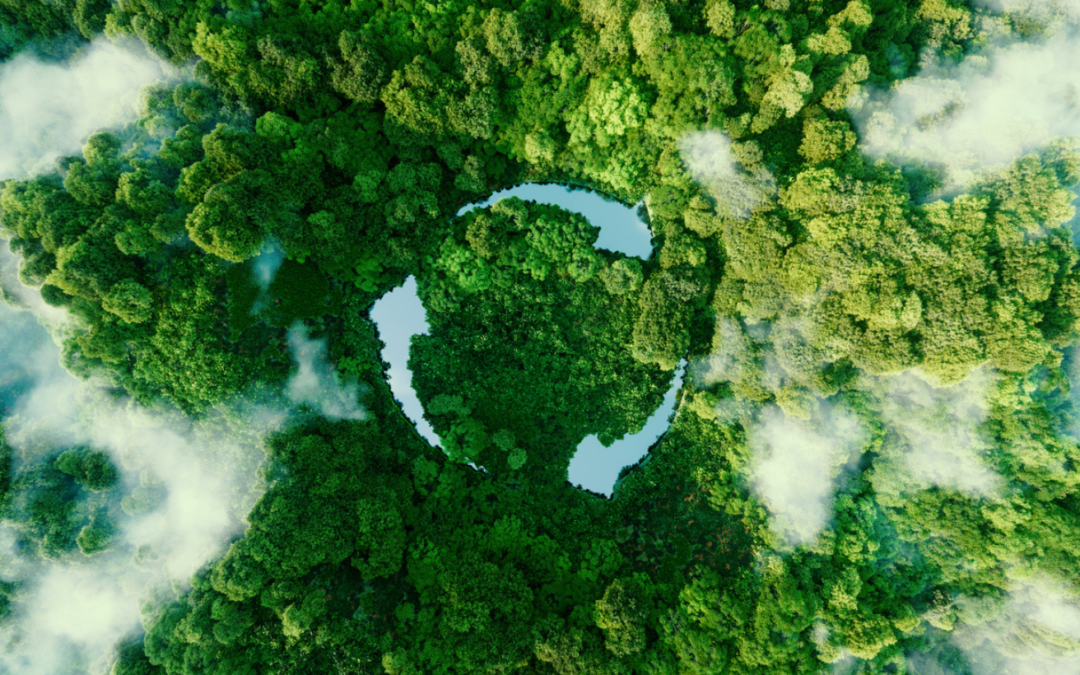 Taking Strides Towards Sustainability: Our Carbon Accounting Journey